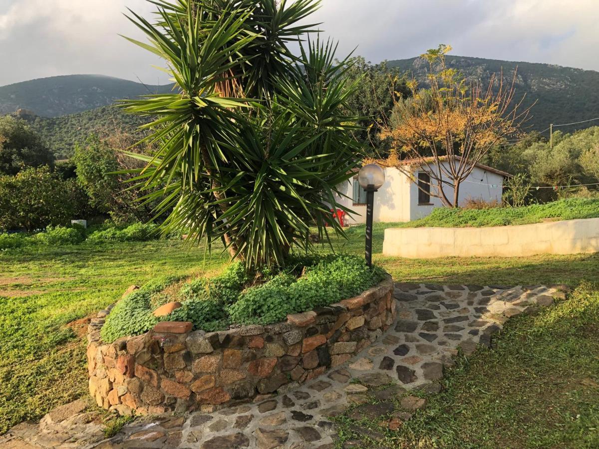 Apartamento Sarrala Tertenìa Exterior foto